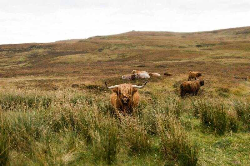 The Unsung Heroes of Scottish Tech image